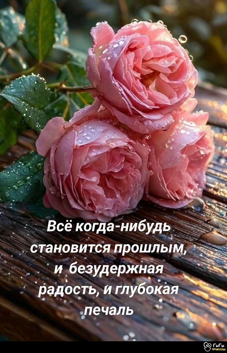 Всё когда-нибудь становится прошлым, и безудержная радость, и глубокая печаль