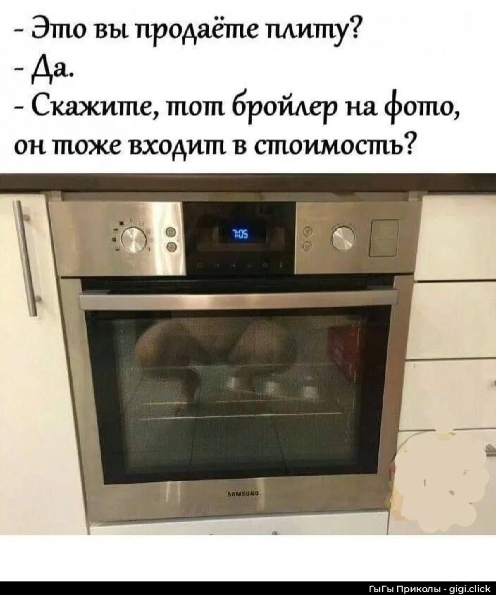 - Это вы продаёте плиту?
- Да.
- Скажите, тот бройлер на фото, он тоже входит в стоимость?
