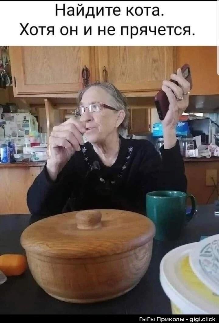 Найдите кота. Хотя он и не прячется.