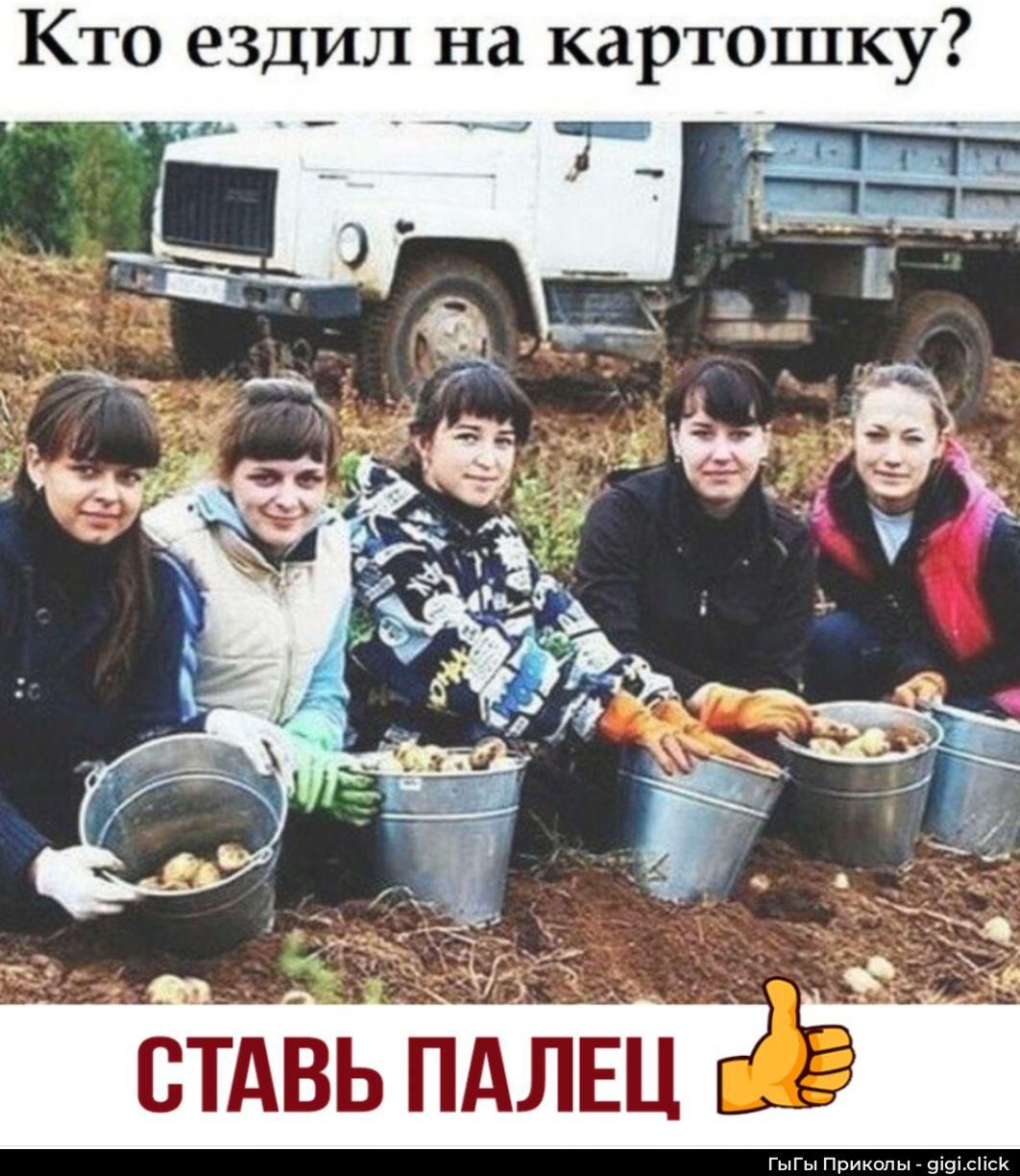 Кто ездил на картошку? СТАВЬ ПАЛЕЦ
