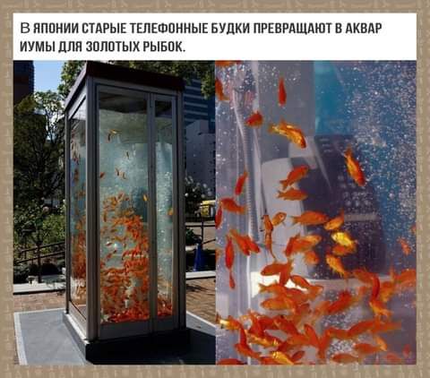 В яппнии СТАРЫЕ ТЕПЕШПННЫЕ БУЦКИ ПРШРАЩАЮТ в АКВХР иумыплп зппшык вывих