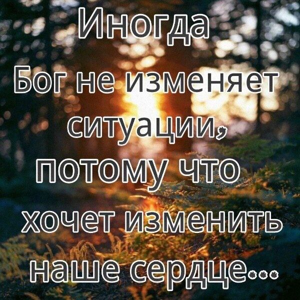 жсфчсат ть Щсё дщооо