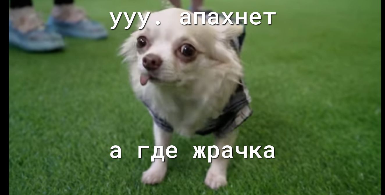 а г ге жрчачка