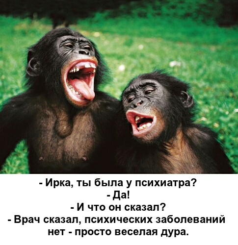 Ирка ты была у психиатра да И что он сказал Врач сказал психических заболеваний нет просто веселая дура
