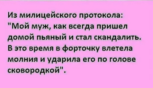 Из милицейского протокола Мой муж как всегда пришел домой пьяный и стал скандалить В это время в форточку влетела молния и ударила его по голове сковородкой