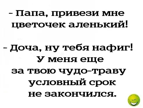Папа привези мне цветочек аленький доча ну тебя нафиг У меня еще за твою чудотраву условный срок не закончился в