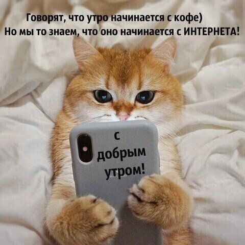 а Го Зло у ачинается кофе Но мы то знаем чтооно начинается ИНТЕРНЕТА