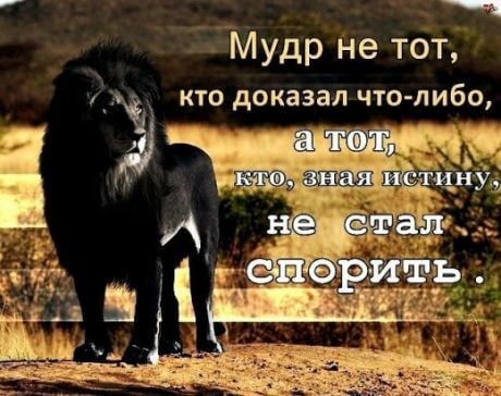 _ _ Мудр не тот