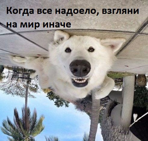 Когда все надоело взгляни а мир иначе