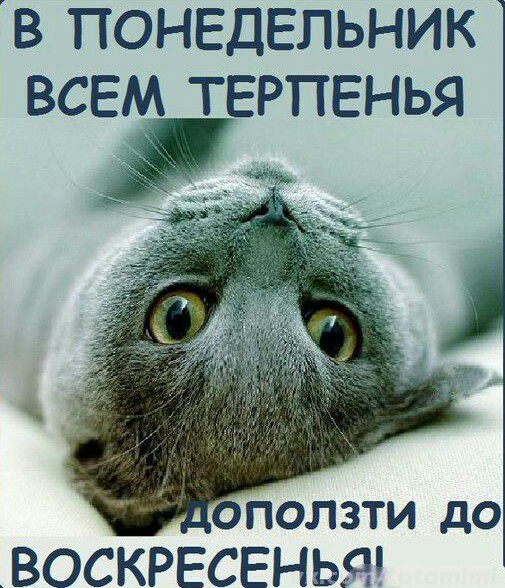 в понедельнмк всвм ТЕРПЕНЬЯ сползти до _ВОСКРЕСЕНЬЯ