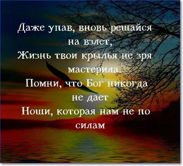 Даже упав вновь айся СИЛЗМ