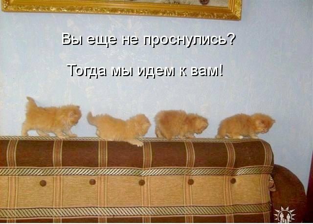 пара вы еще не проснулись Тогда мы идем к вам хжжж