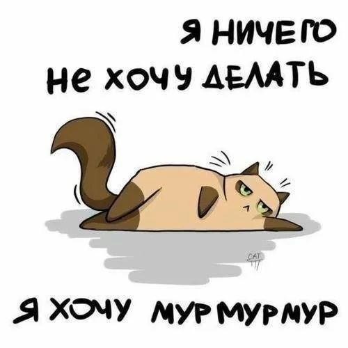 Я НИЧЕГО не ХОЧЧ АШТЬ Я ХОЧУ МУР МУРМУР