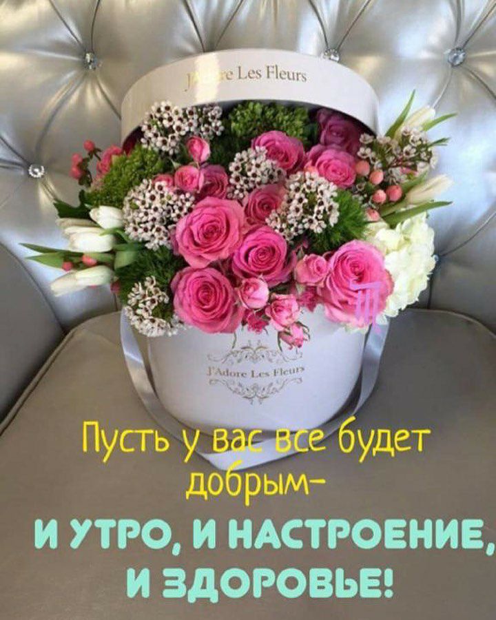 и утро и ндстговние и здоровье