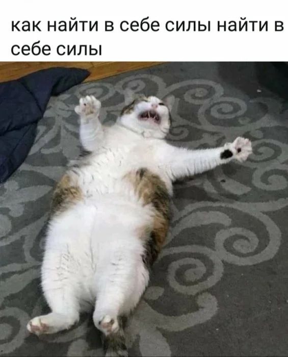 как найти в себе силы найти в себе силы