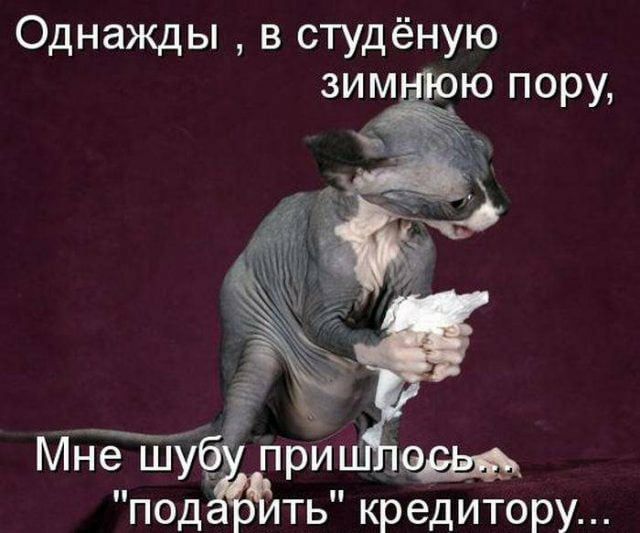 Однаждьпвстмдёную пр а под тькредИтору