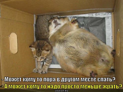 тМПЖЩ КПМ П ПЩШ В ШШППМ МВПВ ВПИТЬ ПМПЖШ ИПМ Ш НИДПЩЮЩП МЕНЬШЕ жнать