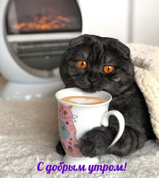 С нутрриьмдмі
