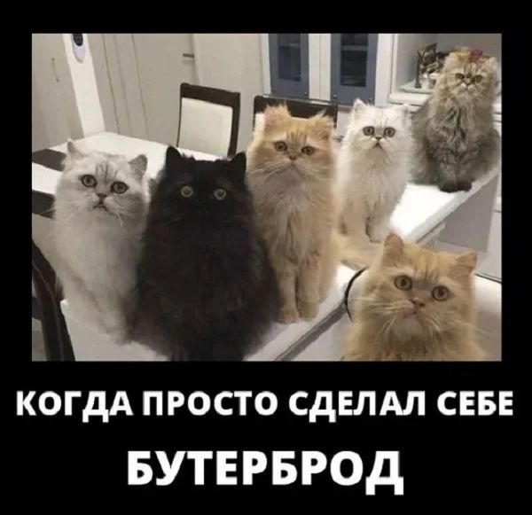когдА просто сдвлдл СЕБЕ БУТЕРБРОД