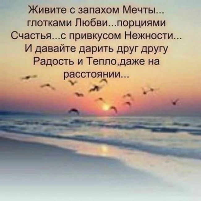 Живите с запахом Мечты глотками Пюбвипорциями Счастьяс привкусом Нежности И давайте дарить друг другу Радость и Тепподаже на РЁССТОЯЁИИ