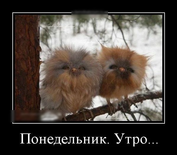 ъ за 1 Понедельник Утро