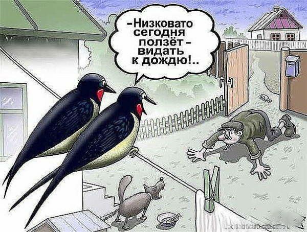 Низковато сегодня ПОЛЗёТ видать