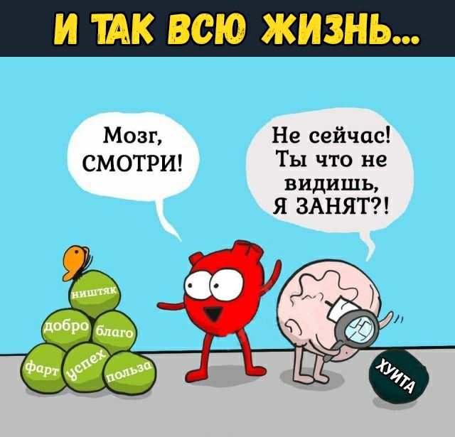 И ШК ВСЮ ЖИЗНЬ МОЗГ Не сейчас СМОТРИ Ты что не видишь Я ЗАНЯТ