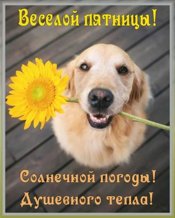 _ Ёаэанечйей погщы ушеенвго тема
