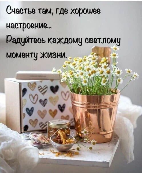 Счастье там где хорошее настроение каждому светлому Чу