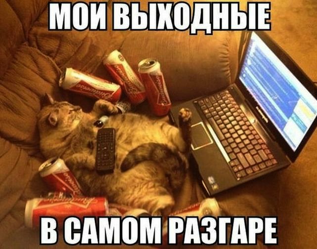 МПИ ВЫ одньчі и 3 интим ЁЁгАгЕ