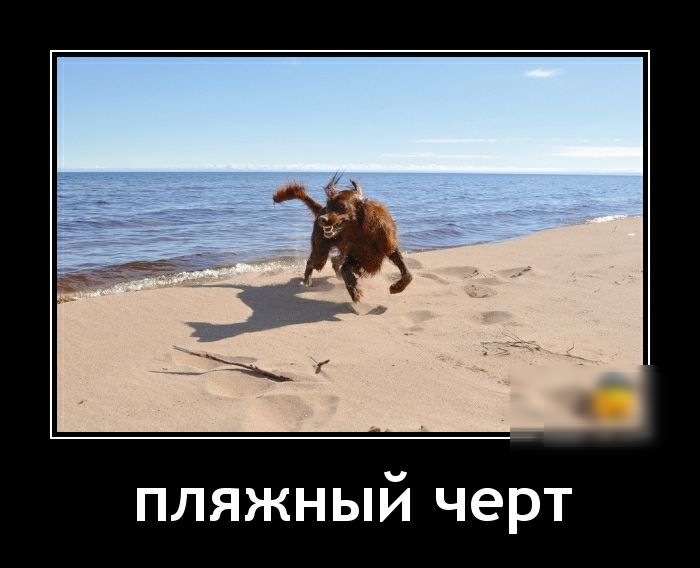 пляжный черт