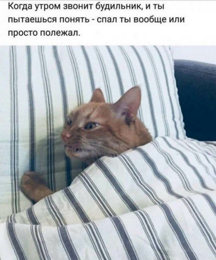 Когда утром звонит будильник и ты пытаешься понять спал ты вообще или просто полежал