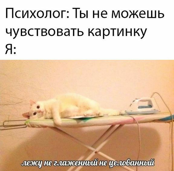 Психолог Ты не можешь чувствовать картинку _ к лежу В ЗЛШКСШШШ ЦЕЛОЁЩЦЦЛЦ
