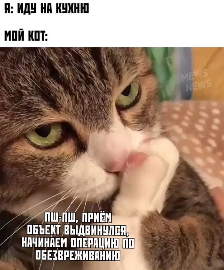 П Ид Нд КШШШ МПЙ ШТ п шпш приём пнъвкт выдвинулся НПЧИНПЕИ ППЕРПЦИШ ШП ПЕЕЗВРЕЖИВПНИШ