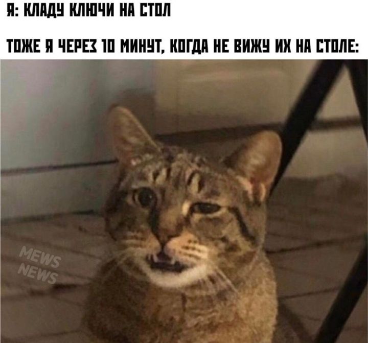 П ШШШ КЛЮЧИ НП ППШ ШЖ ЧЕРЕЗ Ш МИНЕТ ШШШ НЕ ВНЖ их ни ЕТПЛЕ