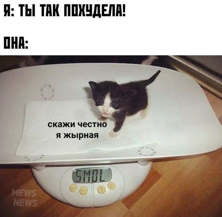П ТЫ ПШ ППИНДЕЛП скажи честно я жырная