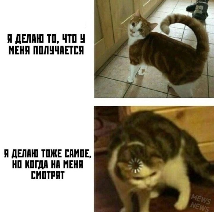 П ЛЕНИН ТП ЧТП ИЕНП ППЛНЧППЕП П ЛЕНИН ШЖЕ ПЯНПЕ ШГдП Нд МЕНЯ ЕНПТРПТ