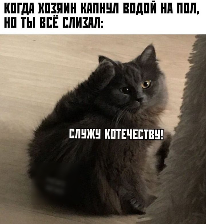 ШГдд ПЦПИ КППНЕШ ВПДПЙ НП ППЛ НП ТЫ ВСЁ ЕЛИЗПЛ ШШШ КПТЕЧЕЕТВШ