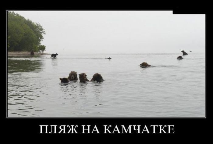 ПЛЯЖ НА КАМЧАТКЕ