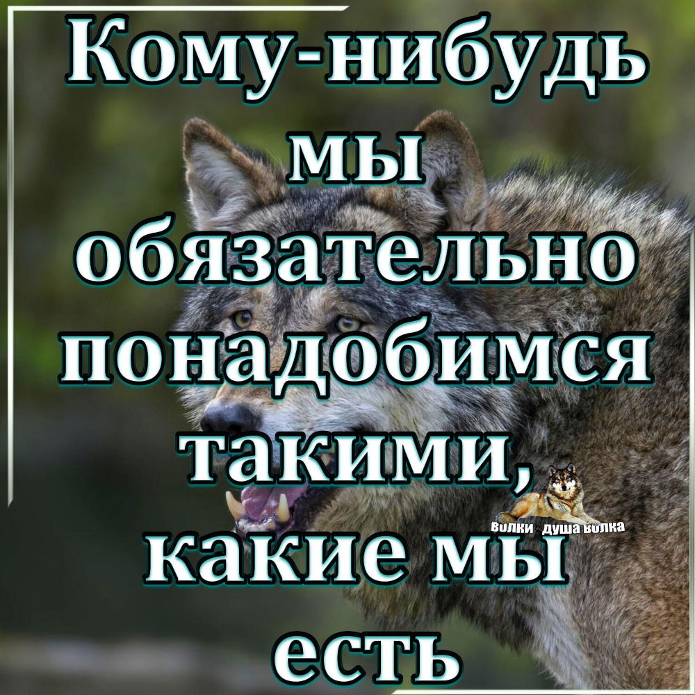 Кому нибудь ЁЁЁЁМЬЁ ддт Фк 065515385 _в