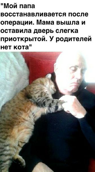 Мой папа восстанавливается после операции Мама вышла и оставила дверь слегка приоткрытой У родителей нет кота