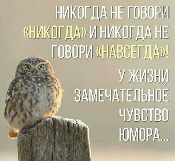НИКОГЕИНЕГ ГЬШРИ КНИКШГДАУИЪ ШГГИНЕ ГШВШРИШЬБЕГДДШ УіКЗИ і ЩіХГ ЛЬ НЫЕ Ч ЬЬГЬГ ШИИРА
