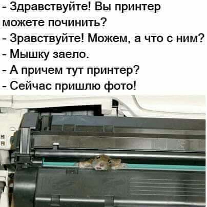 Здравствуйте Вы принтер можете починить Зравстнуйте Можем а что с ним Мышку ввело А причем тут принтер Сейчас пришлю фото