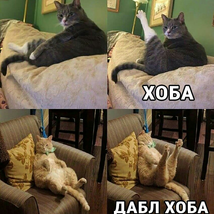 Ё 39 д вл ЁЬБА