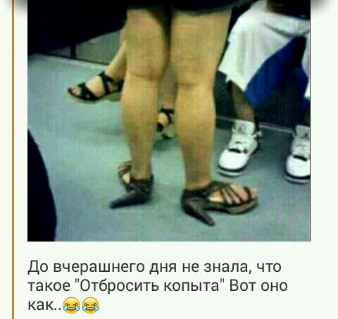 До вчерашнего дня не знала что такое Отбросить копыта Вот оно