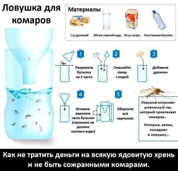 Ловушка для мриалы комаров мим п 2212 ЮБК Дт тт Как не тратить деньги на всякую ядовитую хрень и не быть сожраиными комарами