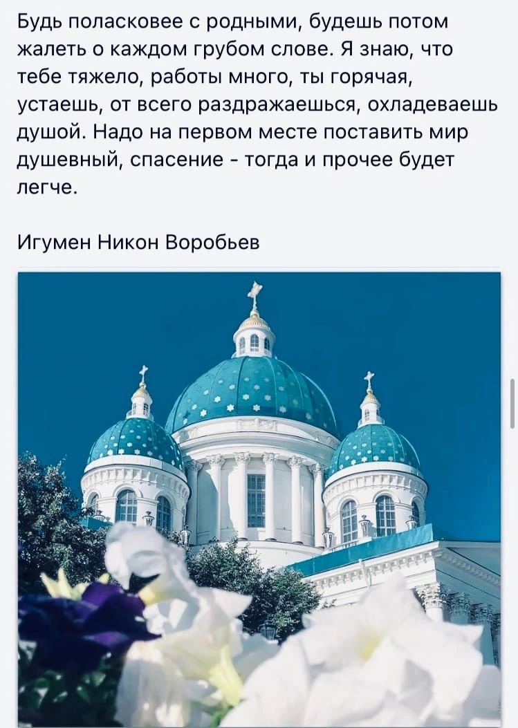 вудь попасковее с родными будешь потом жалеть о каждом грубом слове я знаю что тебе тяжело рабиты мною тьт горячая устаешь от всего раздражаешься охпадеваешь душой Надо на первом месте поставить мир душевный спасение тогда и прочее будет легче Игумен Никон Воробьев