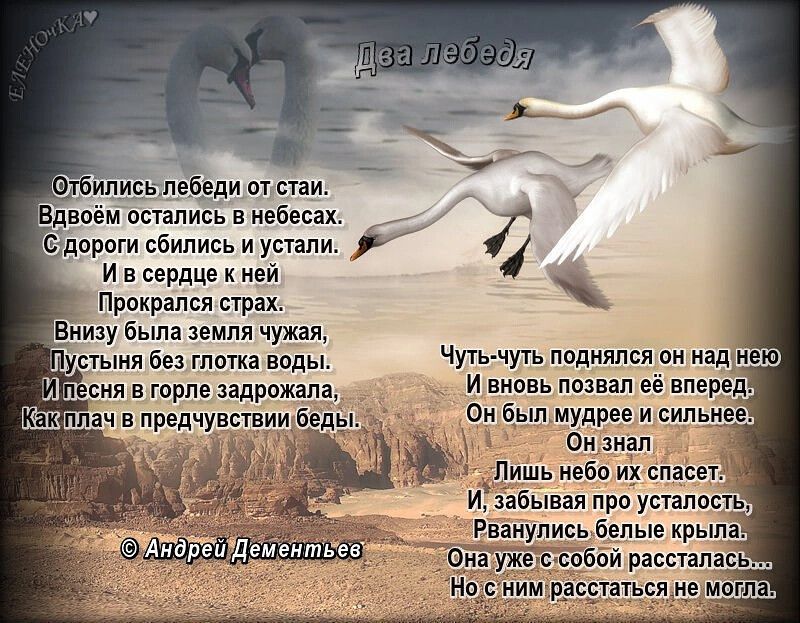 и в сердце ей Прокпамя тах о шп Пишь ибо их спаси н март от