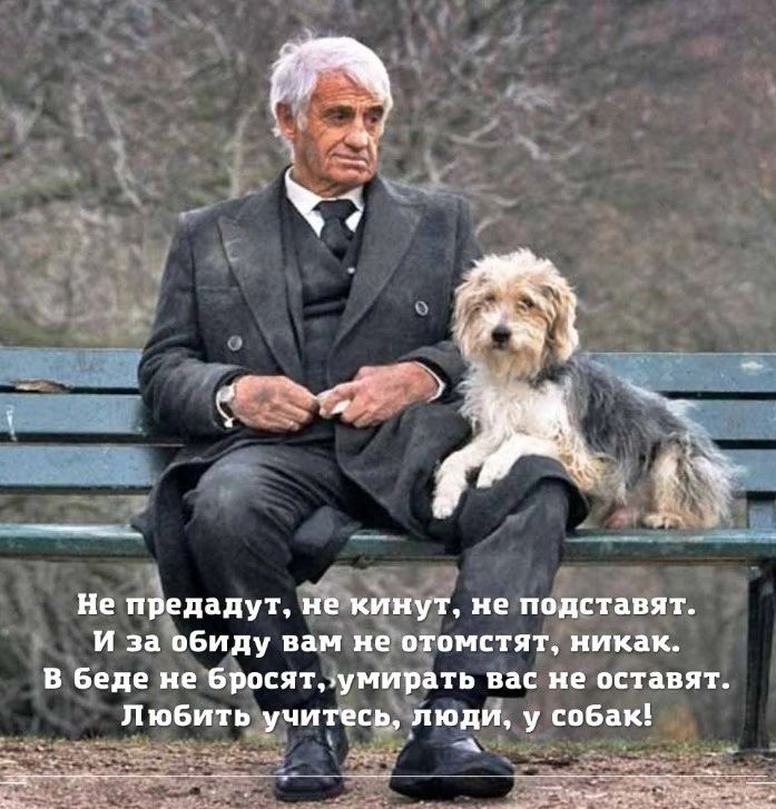 нц пъідапуі ие пфртаіят И Билу пн и истят пиши в еще не Брпсятлу ап на кв вставят ПюБитьж лит ищи у оБпкі _
