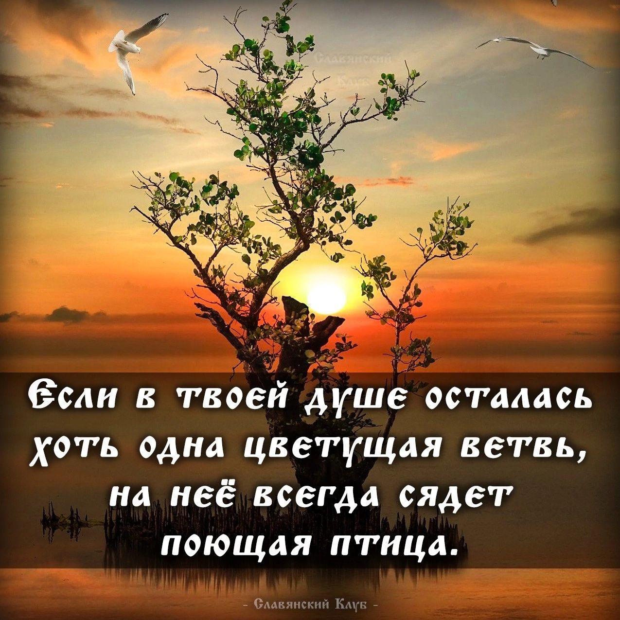 если в твоей душе осталась хоть одна цветущая ветвь на неё всегда сядет поющая птицд